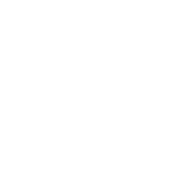 Logo S.A.C.S.E